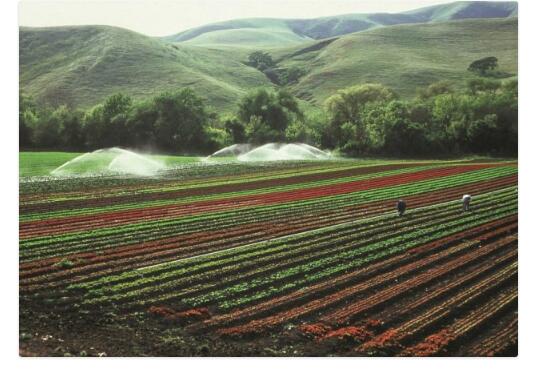 利用远传4118ccm云顶集团实现更好的农业自动化灌溉管理